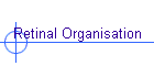 Retinal Organisation