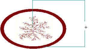 diagram of cell construction