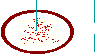 cell construction