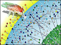 A molecular snapshot of life